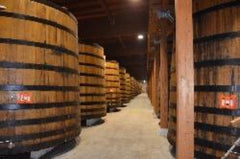 Champagne Wine Vinegar