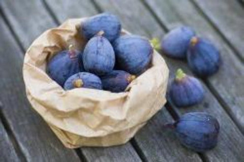 Fig  Balsamic Vinegar Condimento