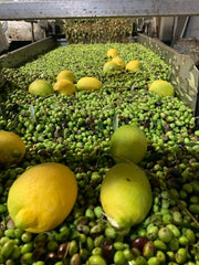Lemon Agrumato Olive Oil  - Whole Fruit Eureka Lemon Fused