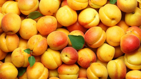 Apricot  White Balsamic Vinegar
