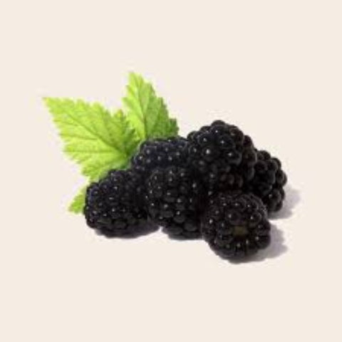 Blackberry-Ginger Balsamic Vinegar Condimento